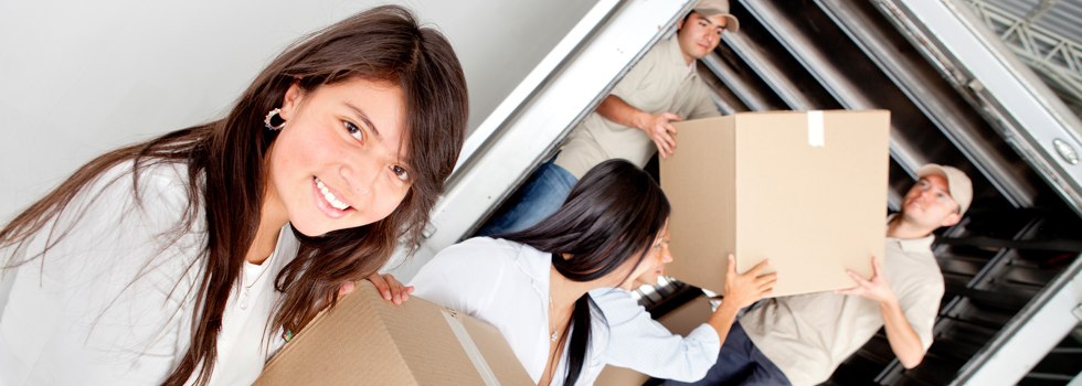 Professional Removalists Anketell
